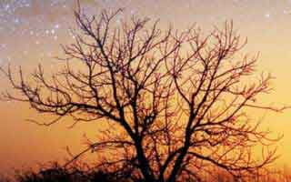 足协杯这场看似普通，开云网页榜单显示突然其实日本队的回看像教科书？