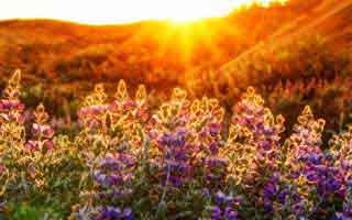 大师赛冷门细节曝光：郑钦文每次上网前都看一眼教练席，随后信号太明显