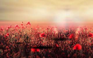 西甲这轮像写好的剧本？逆转伏笔对照体彩数据，疑点越看越多