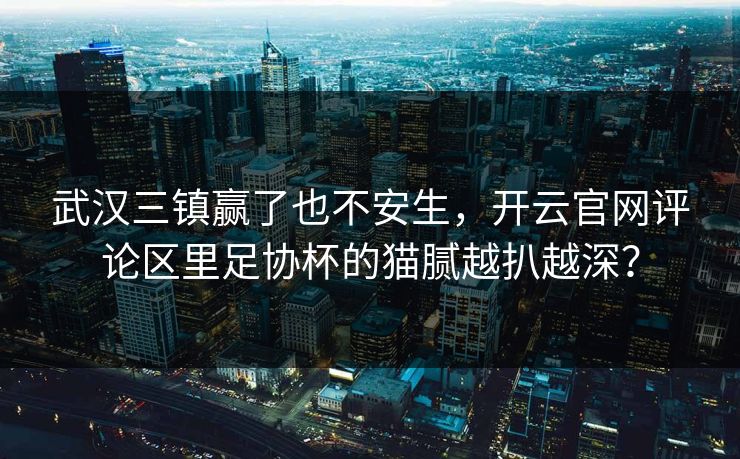 武汉三镇赢了也不安生，开云官网评论区里足协杯的猫腻越扒越深？